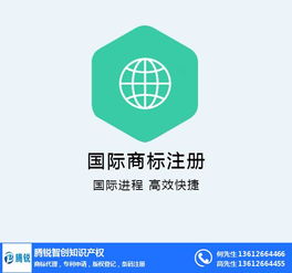 商標續展在線咨詢指南 以騰銳智創為例，解讀大嶺山地區網絡技術服務類商標維護要點